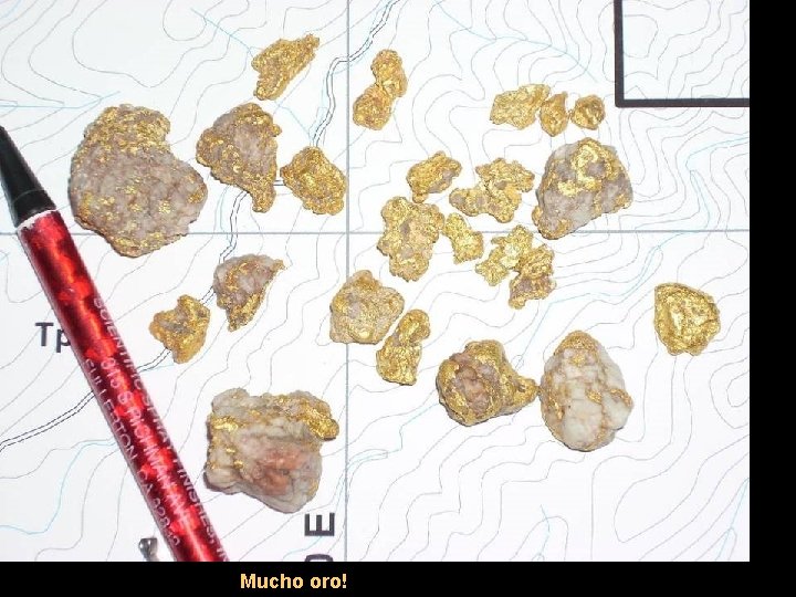 Mucho oro! 