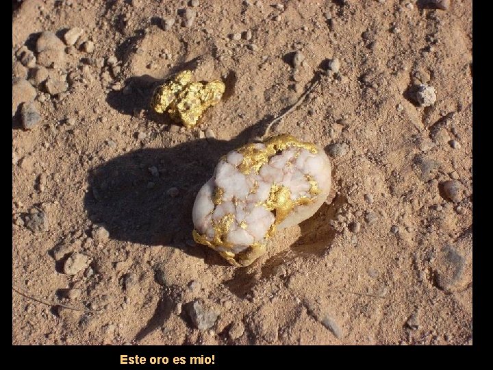 Este oro es mio! 