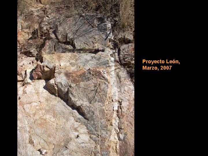 Proyecto León, Marzo, 2007 