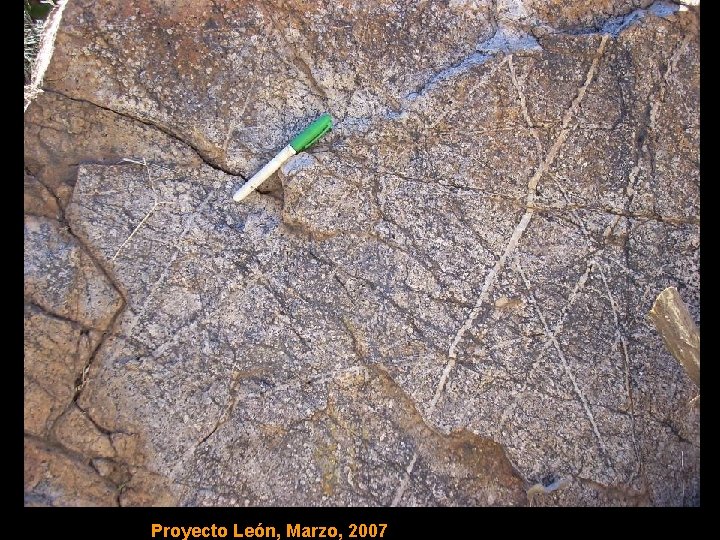 Proyecto León, Marzo, 2007 