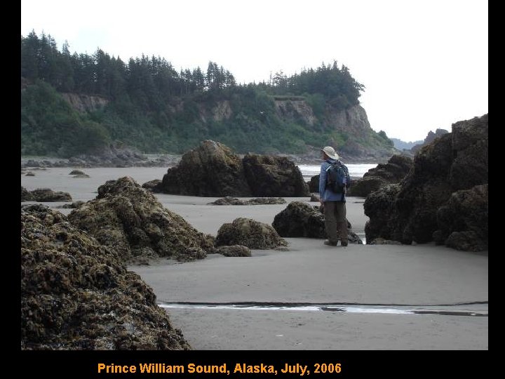 Prince William Sound, Alaska, July, 2006 