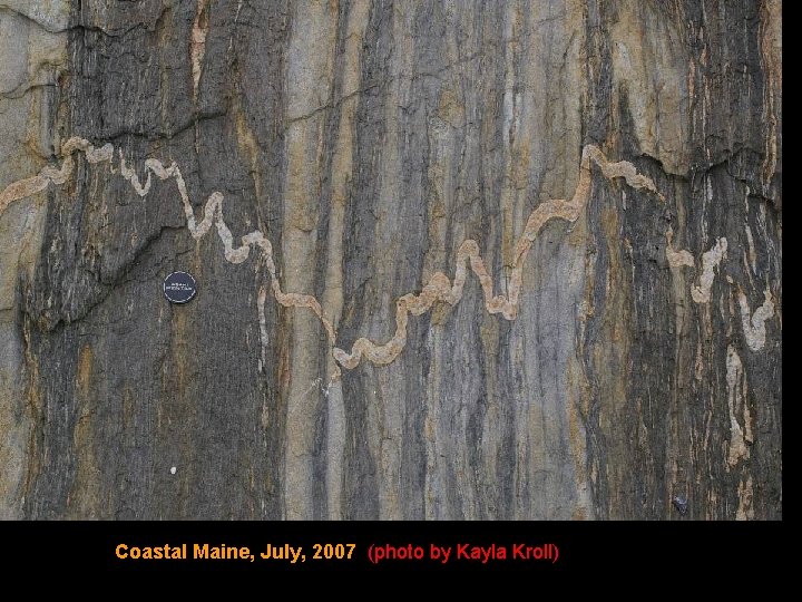 Coastal Maine, July, 2007 (photo by Kayla Kroll) 