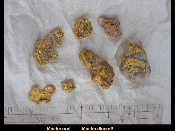 Mucho oro! Mucho dinero!! 