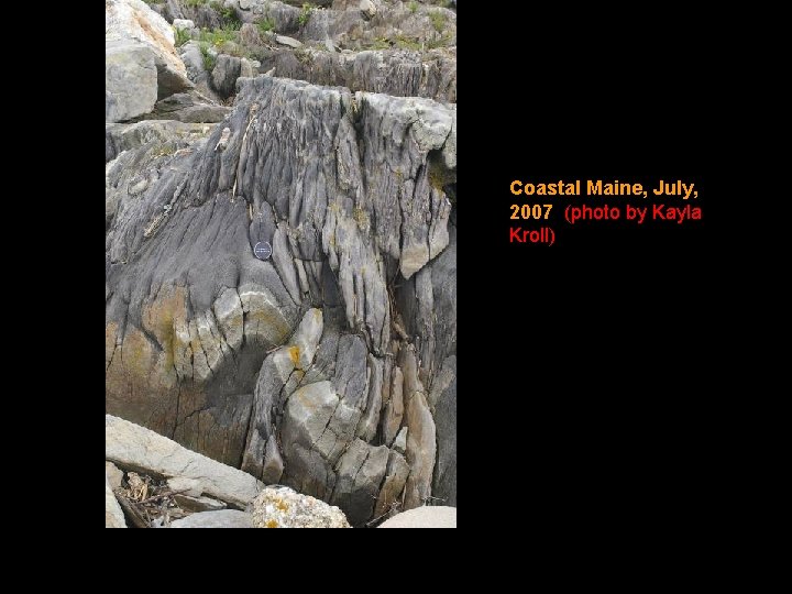 Coastal Maine, July, 2007 (photo by Kayla Kroll) 