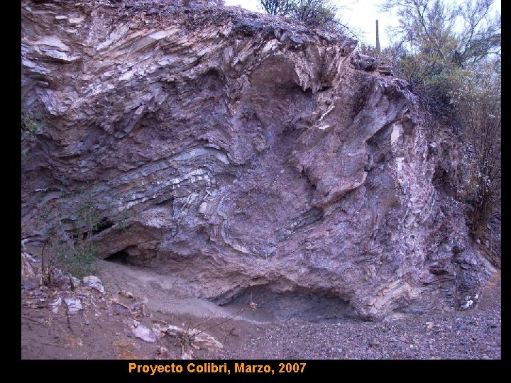 Proyecto Colibri, Marzo, 2007 