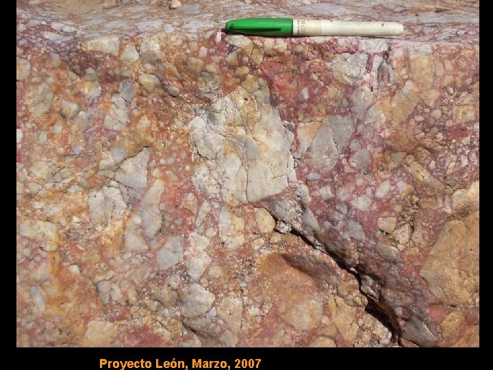 Proyecto León, Marzo, 2007 