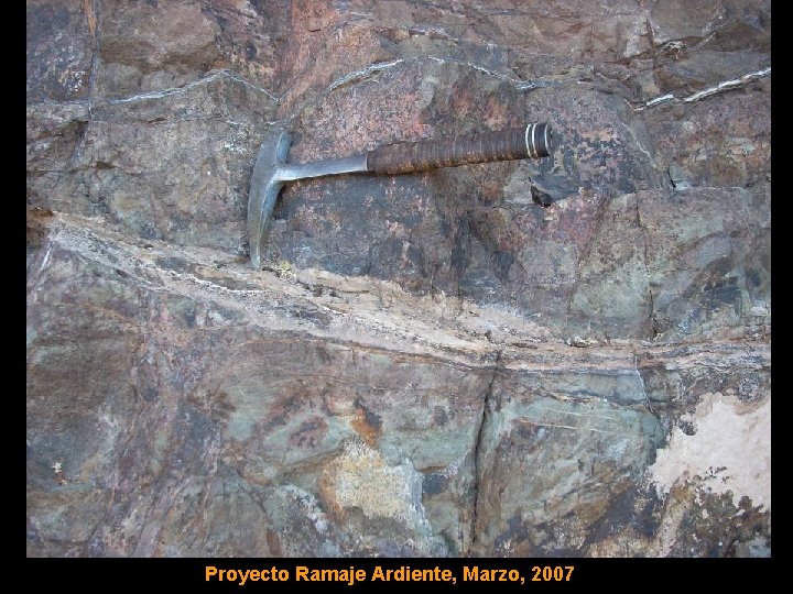 Proyecto Ramaje Ardiente, Marzo, 2007 