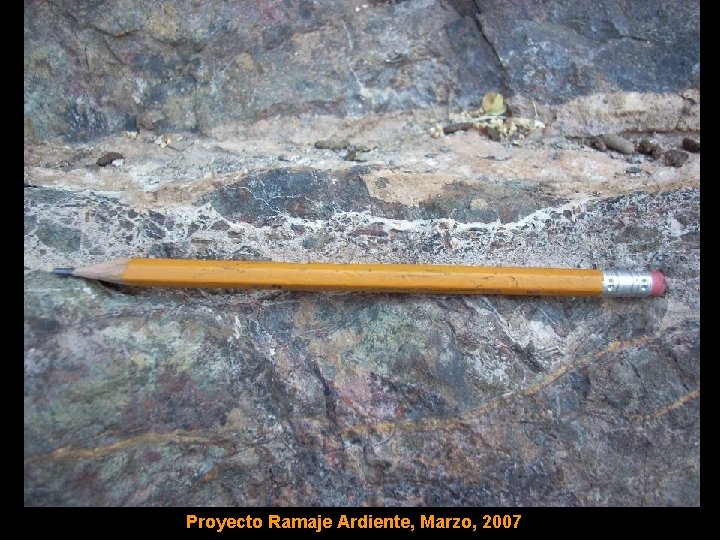 Proyecto Ramaje Ardiente, Marzo, 2007 