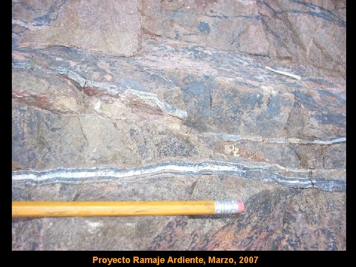 Proyecto Ramaje Ardiente, Marzo, 2007 