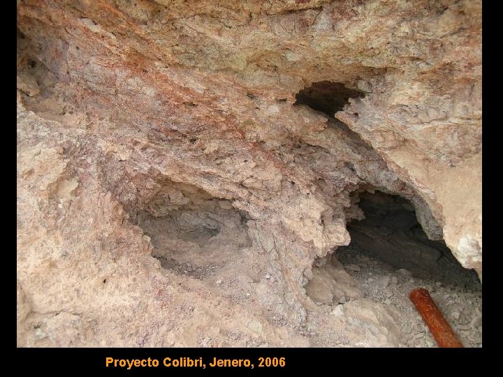 Proyecto Colibri, Jenero, 2006 