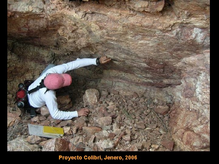 Proyecto Colibri, Jenero, 2006 