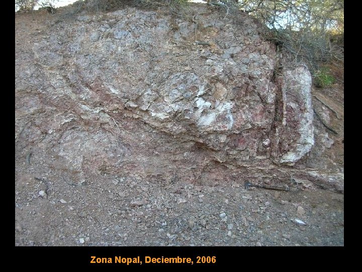 Zona Nopal, Deciembre, 2006 