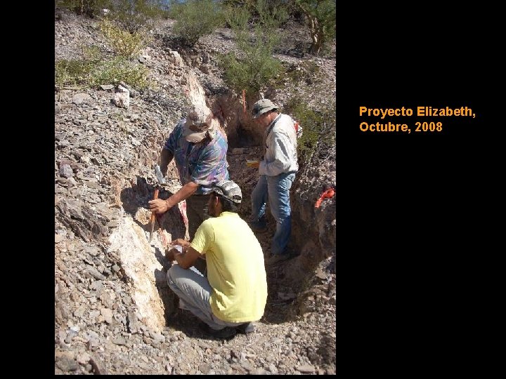 Proyecto Elizabeth, Octubre, 2008 