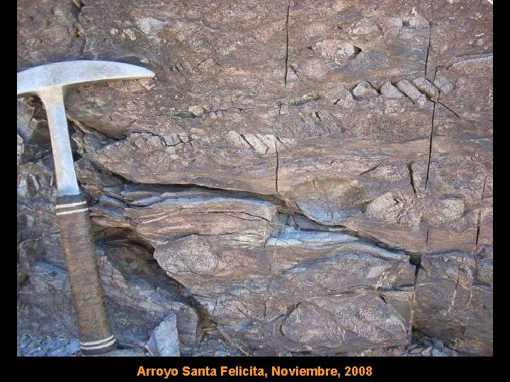 Arroyo Santa Felicita, Noviembre, 2008 