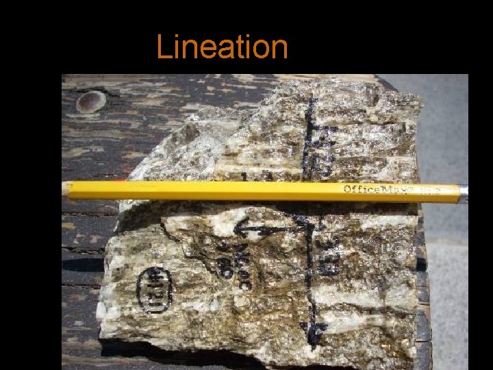 Lineation 
