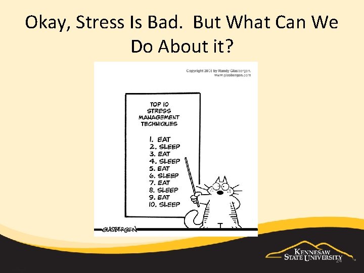 Okay, Stress Is Bad. But What Can We Do About it? 24 