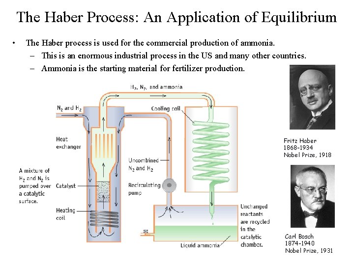 The Haber Process: An Application of Equilibrium • The Haber process is used for