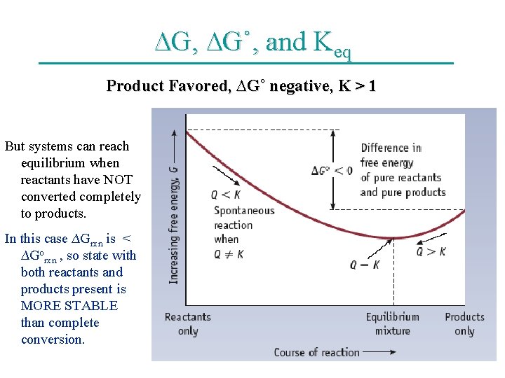 ∆G, ∆G˚, and Keq Product Favored, ∆G˚ negative, K > 1 But systems can