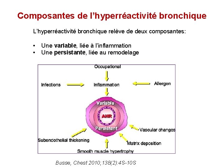 Composantes de l’hyperréactivité bronchique L’hyperréactivité bronchique relève de deux composantes: • • Une variable,