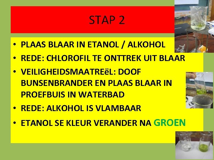 STAP 2 • PLAAS BLAAR IN ETANOL / ALKOHOL • REDE: CHLOROFIL TE ONTTREK