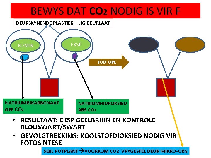 BEWYS DAT CO 2 NODIG IS VIR F DEURSKYNENDE PLASTIEK – LIG DEURLAAT EKSP