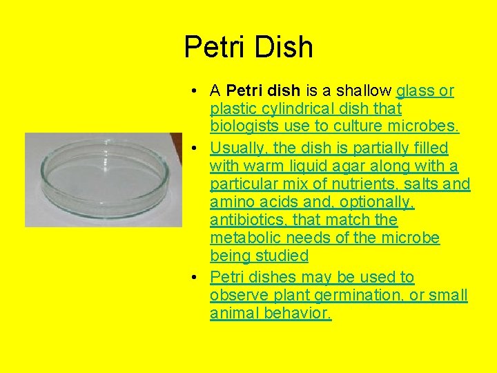 Petri Dish • A Petri dish is a shallow glass or plastic cylindrical dish