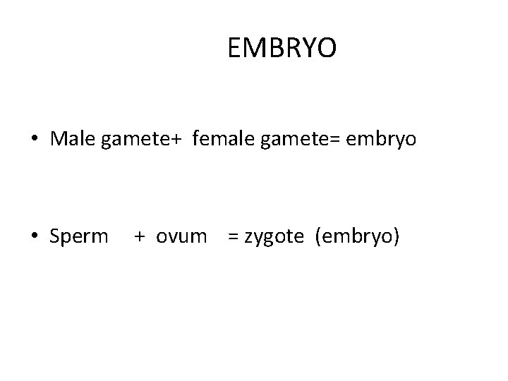 EMBRYO • Male gamete+ female gamete= embryo • Sperm + ovum = zygote (embryo)