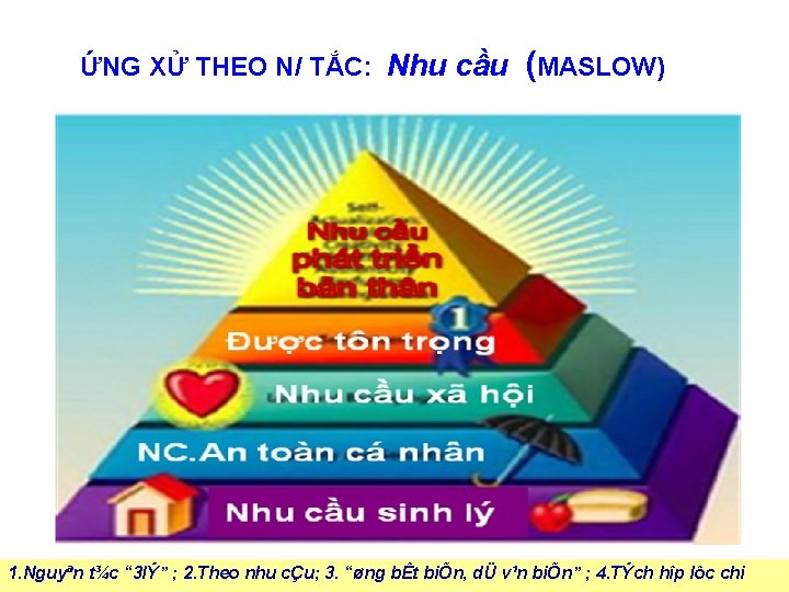 ỨNG XỬ THEO N/ TẮC: Nhu cầu (MASLOW) 16 1. Nguyªn t¾c “ 3