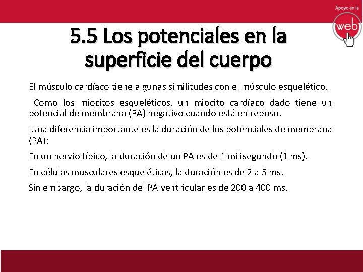 5. 5 Los potenciales en la superficie del cuerpo El músculo cardíaco tiene algunas