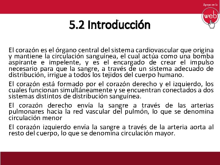 5. 2 Introducción El corazón es el órgano central del sistema cardiovascular que origina