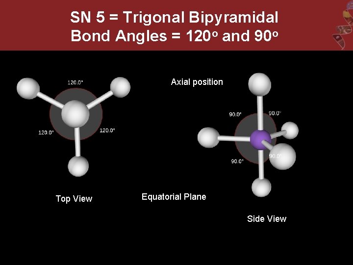 SN 5 = Trigonal Bipyramidal Bond Angles = 120 o and 90 o Axial