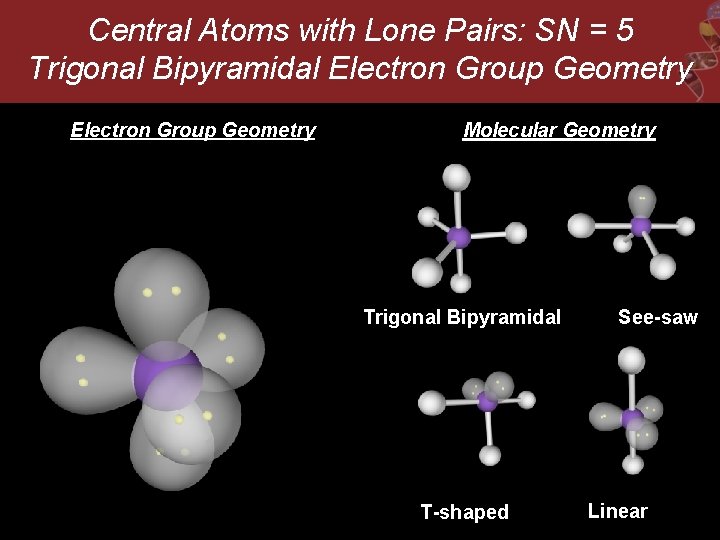 Central Atoms with Lone Pairs: SN = 5 Trigonal Bipyramidal Electron Group Geometry Molecular