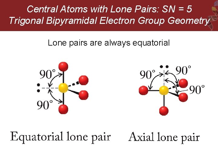 Central Atoms with Lone Pairs: SN = 5 Trigonal Bipyramidal Electron Group Geometry Lone
