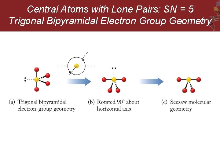 Central Atoms with Lone Pairs: SN = 5 Trigonal Bipyramidal Electron Group Geometry 
