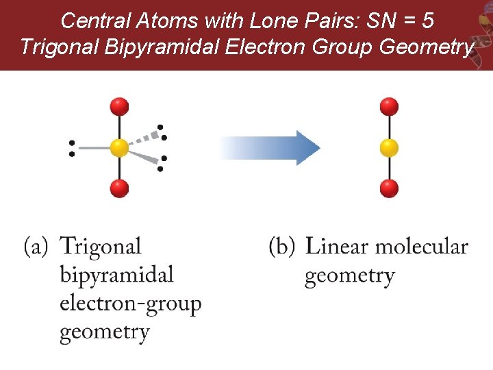 Central Atoms with Lone Pairs: SN = 5 Trigonal Bipyramidal Electron Group Geometry 