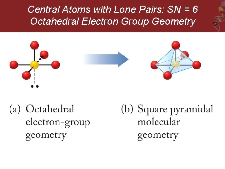 Central Atoms with Lone Pairs: SN = 6 Octahedral Electron Group Geometry 