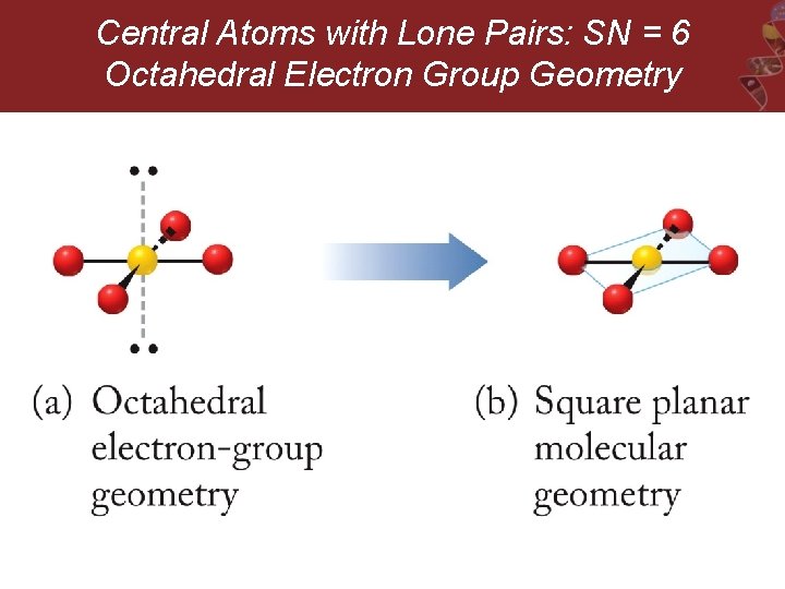 Central Atoms with Lone Pairs: SN = 6 Octahedral Electron Group Geometry 