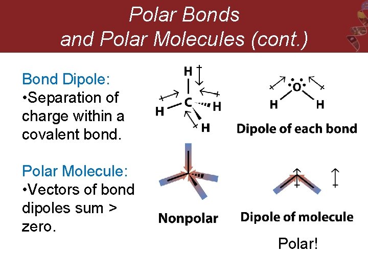 Polar Bonds and Polar Molecules (cont. ) Bond Dipole: • Separation of charge within