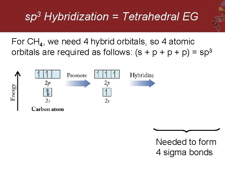 sp 3 Hybridization = Tetrahedral EG For CH 4, we need 4 hybrid orbitals,