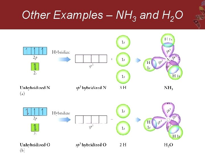 Other Examples – NH 3 and H 2 O 