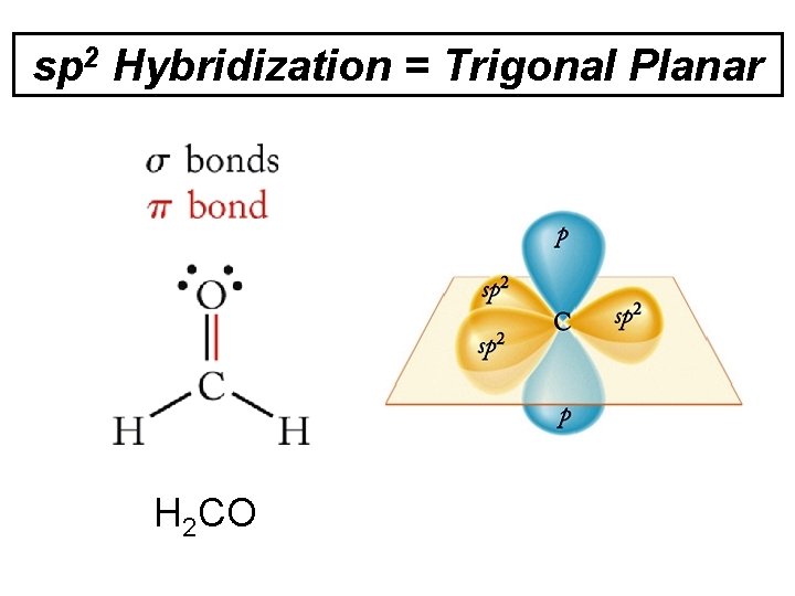 sp 2 Hybridization = Trigonal Planar H 2 CO 