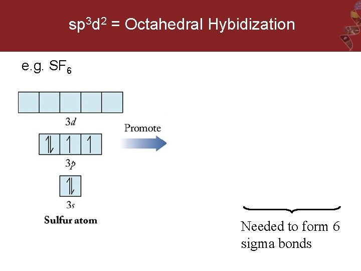 sp 3 d 2 = Octahedral Hybidization e. g. SF 6 Needed to form