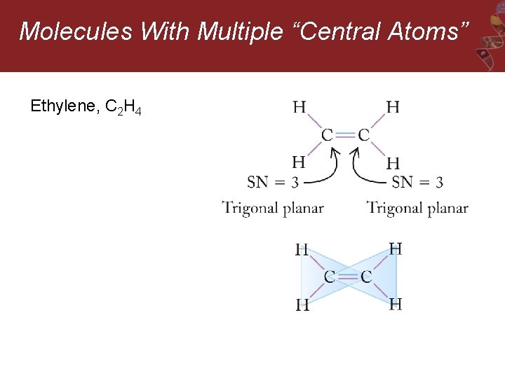 Molecules With Multiple “Central Atoms” Ethylene, C 2 H 4 