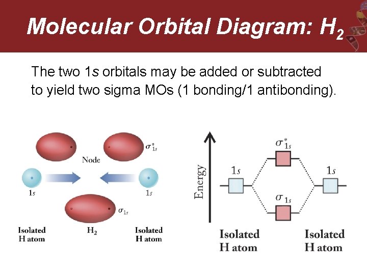 Molecular Orbital Diagram: H 2 The two 1 s orbitals may be added or