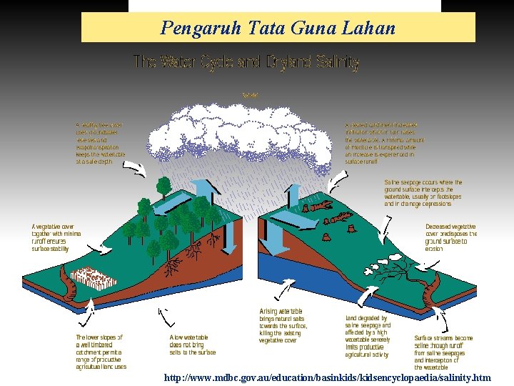 Pengaruh Tata Guna Lahan http: //www. mdbc. gov. au/education/basinkids/kidsencyclopaedia/salinity. htm 