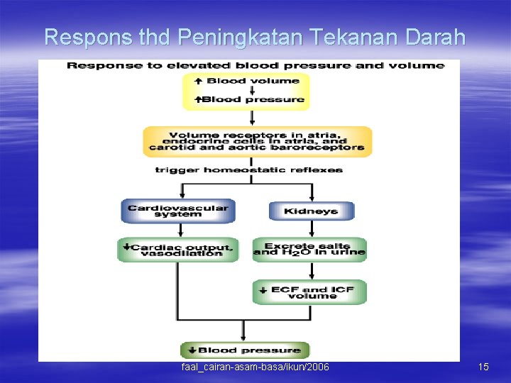 Respons thd Peningkatan Tekanan Darah faal_cairan-asam-basa/ikun/2006 15 