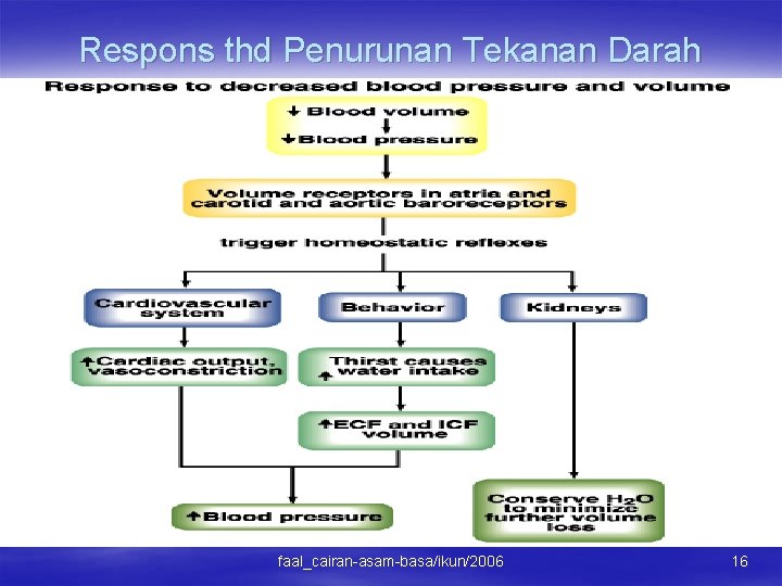 Respons thd Penurunan Tekanan Darah faal_cairan-asam-basa/ikun/2006 16 