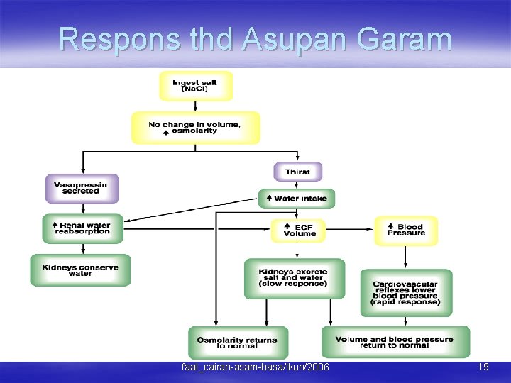 Respons thd Asupan Garam faal_cairan-asam-basa/ikun/2006 19 