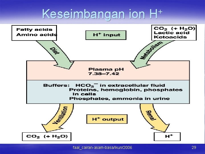 + Keseimbangan ion H faal_cairan-asam-basa/ikun/2006 29 