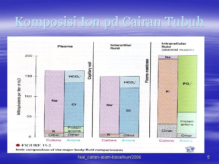 Komposisi Ion pd Cairan Tubuh faal_cairan-asam-basa/ikun/2006 5 